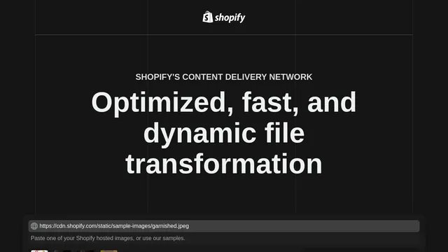 Screenshot of cdn.shopify.com on port 443