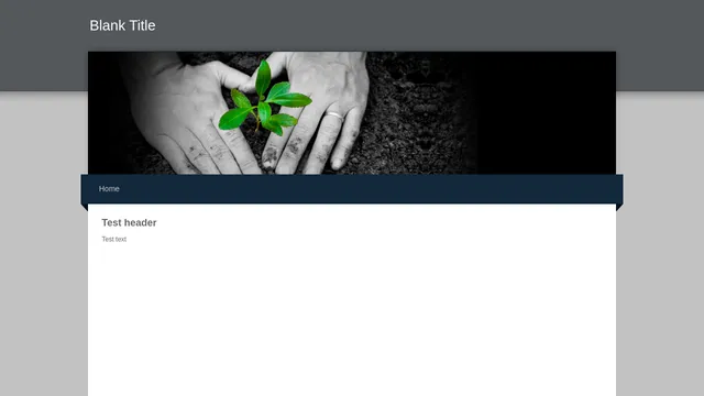 Screenshot of test.domain.com on port 443