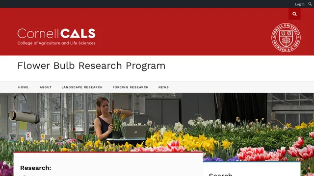 Screenshot of flowerbulbs.cornell.edu on port 443